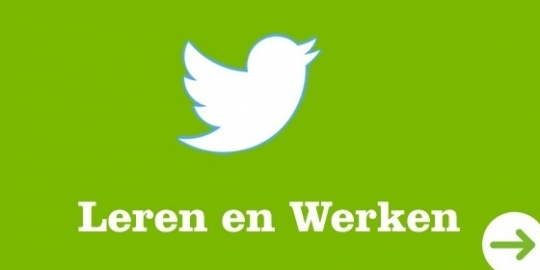 Leren en Werken