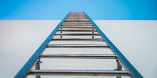 Ladder