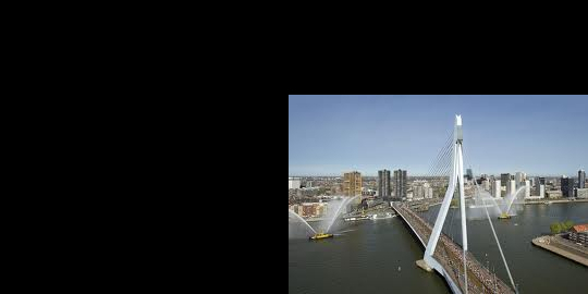 Erasmusbrug Rotterdam